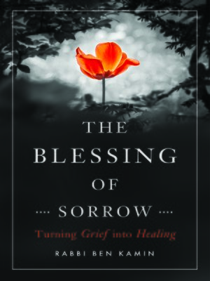 cover image of The Blessing of Sorrow